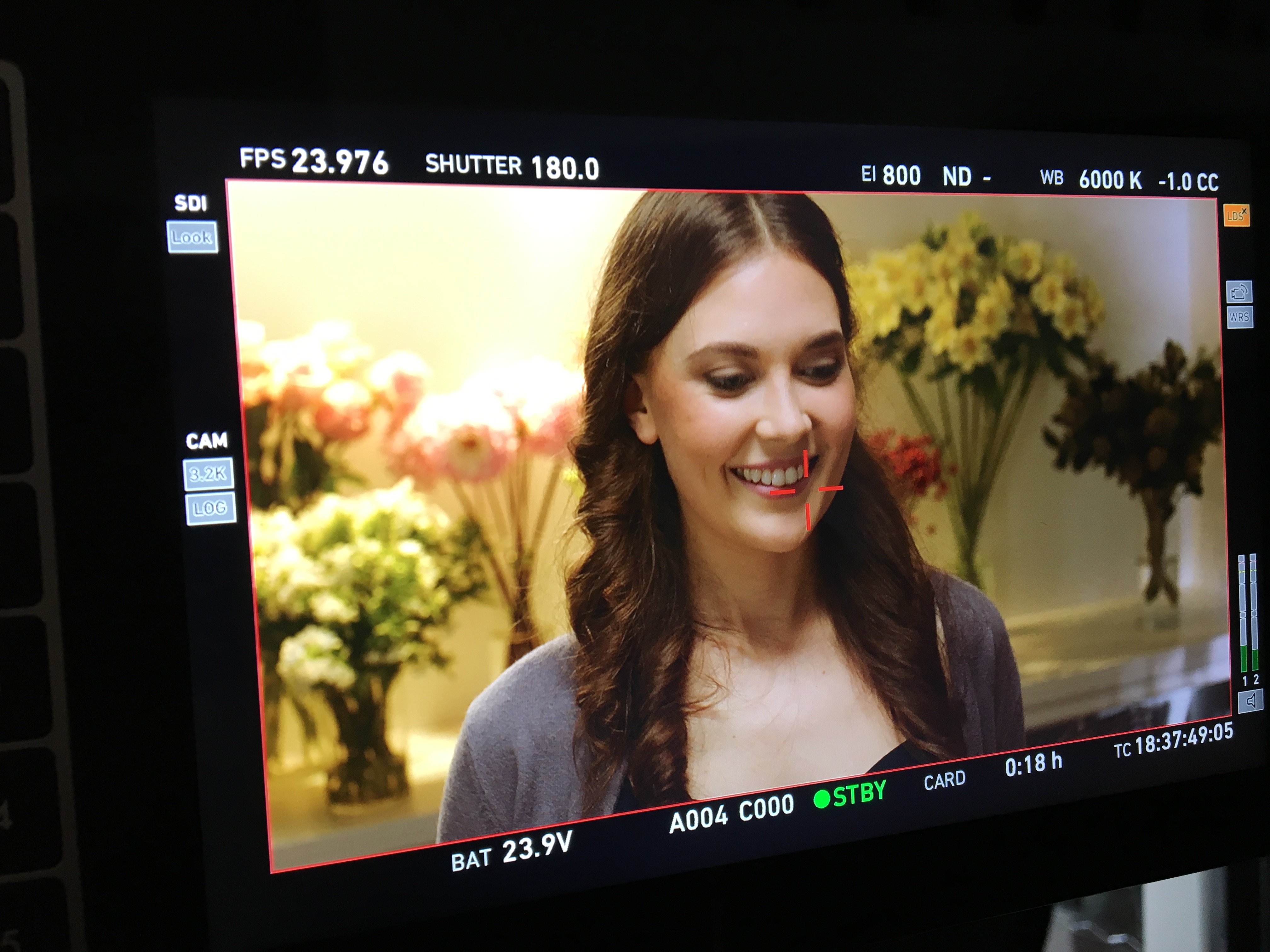 the shop around the corner - sophie 2